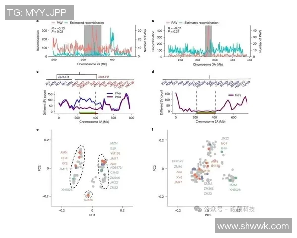 职业赛车手反应时间与成绩波动的高频数据分析