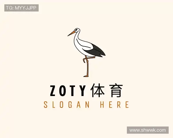 介绍zoty中欧